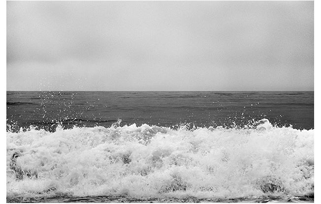 Jackson, Laguna Beach, California  2012 