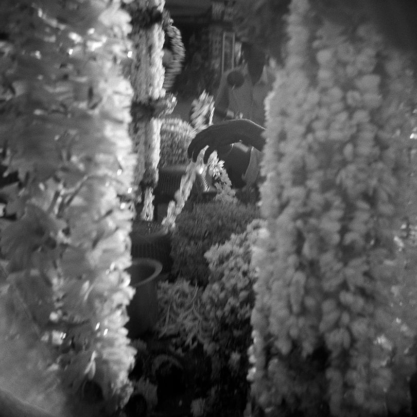 Flowers with Woman’s Hand, from Memories of India  1999