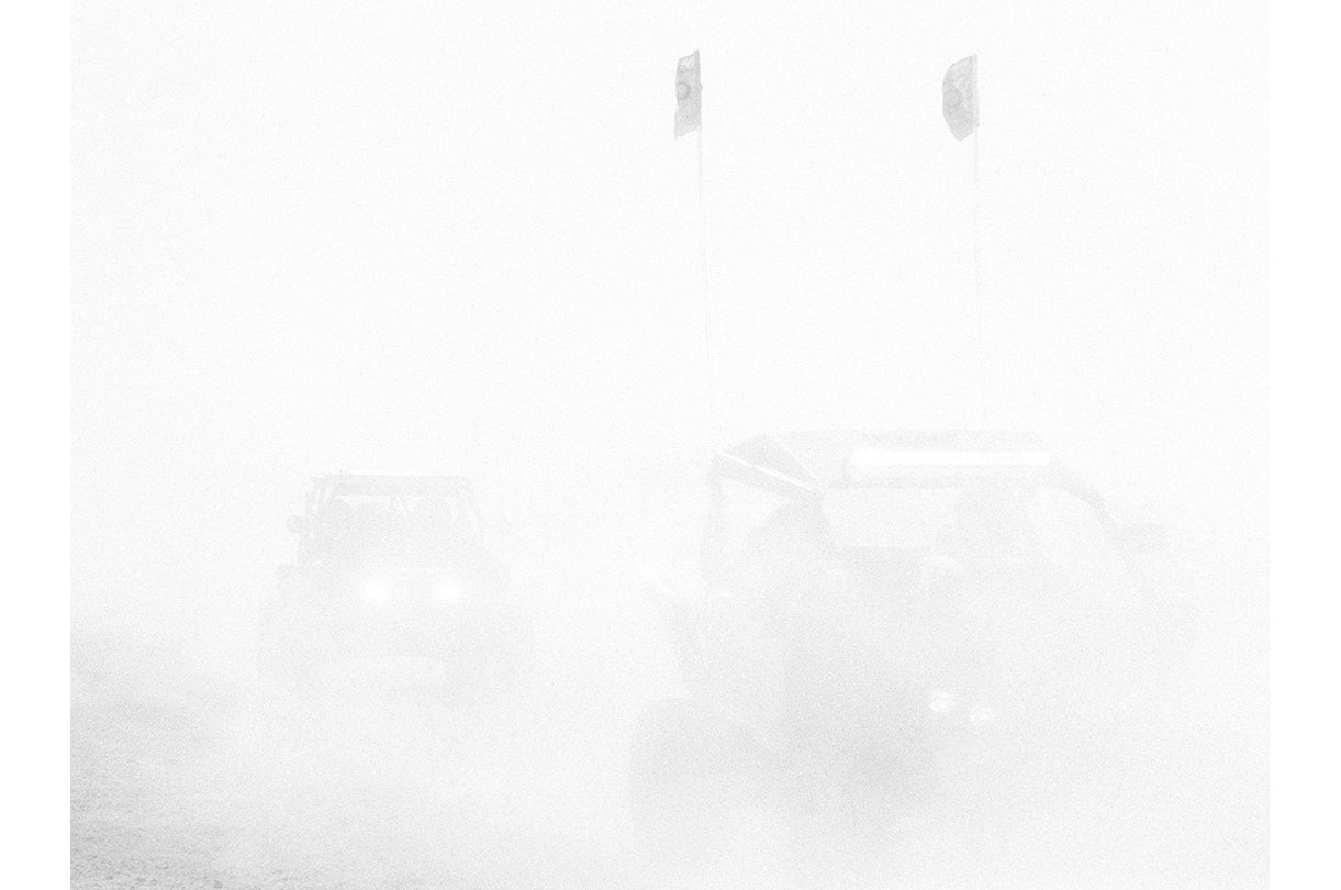 Wonderland (#65-15)  2017