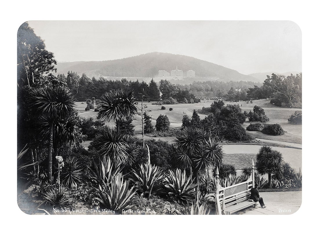 Conservatory Valley, facing south towards Mt. Sutro, Golden Gate Park  c. 1896–1902