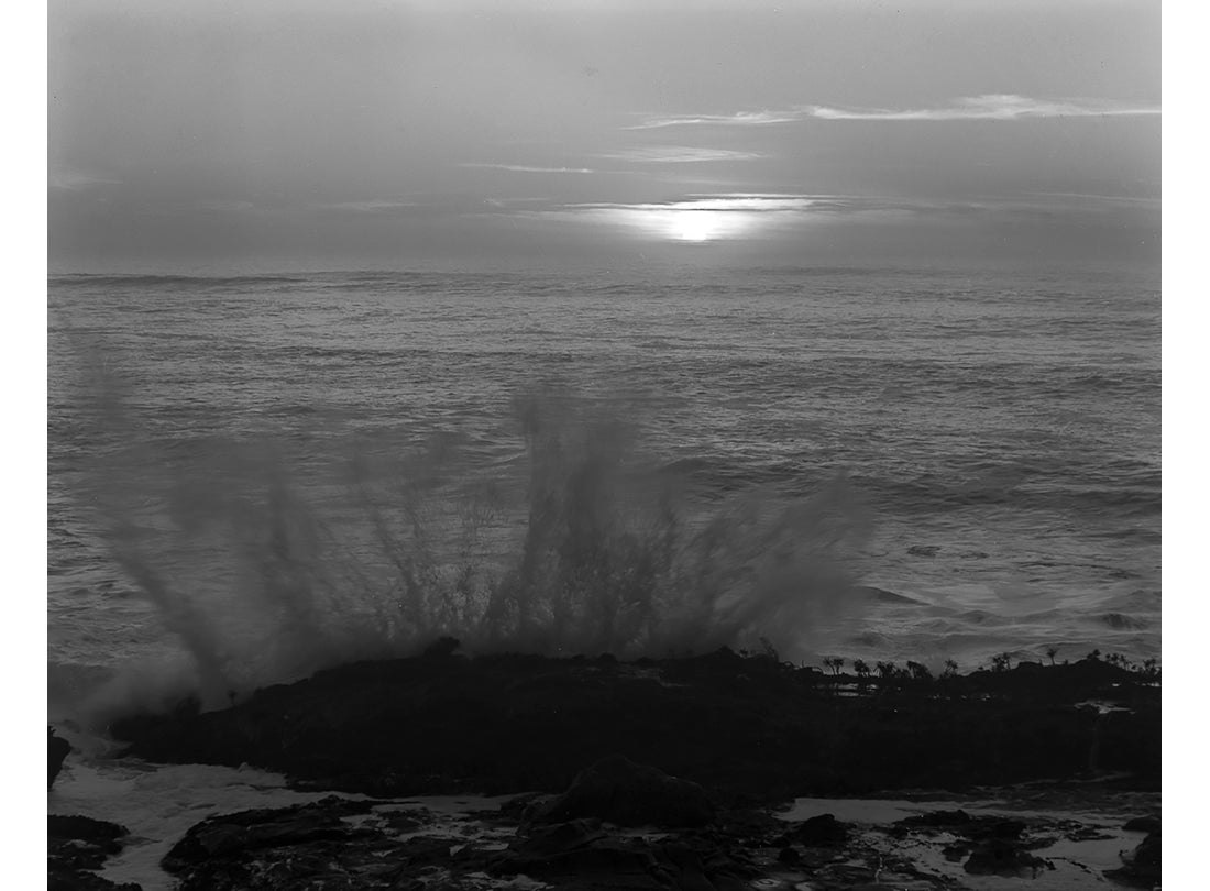 Point Lobos, Monterey County, California
