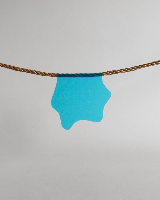 Marine Algae  2014  Lindsey White (b. 1980)  digital print  Courtesy of the artist  R2014.1901.008