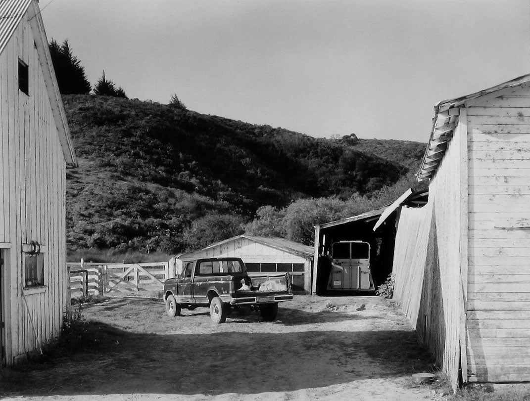 Ranch Dog at Sunrise, Murphy Ranch, Point Reyes, California  2008 Art Rogers (b. 1948) gelatin-silver print Courtesy of the artist L2014.2101.008