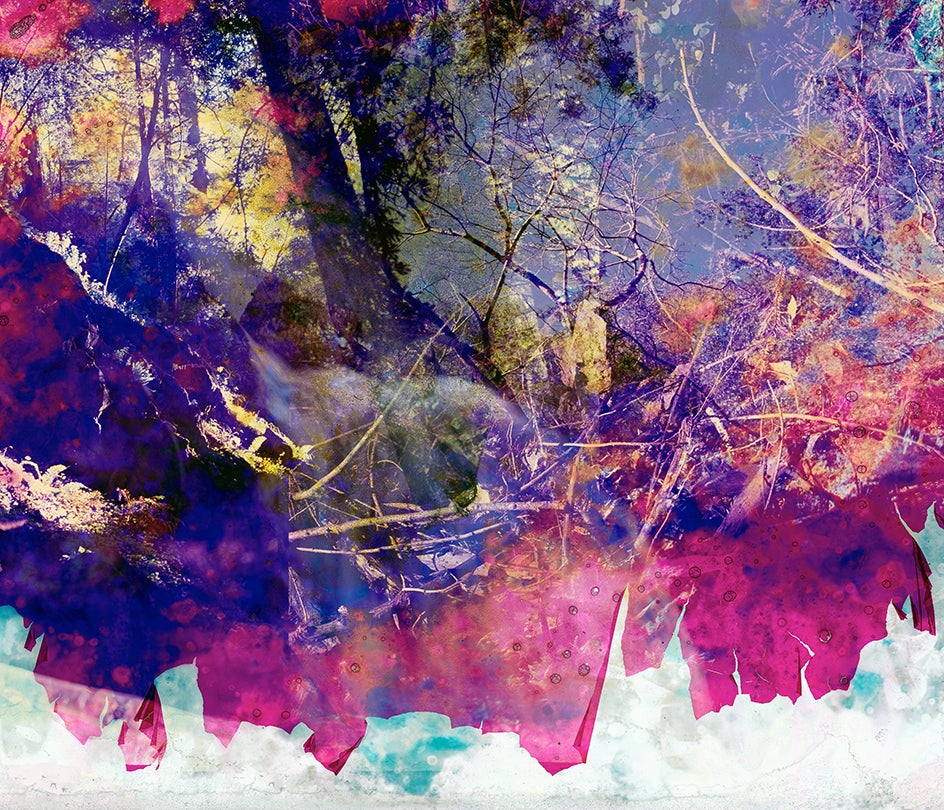 Creative Destruction No. 7  2017