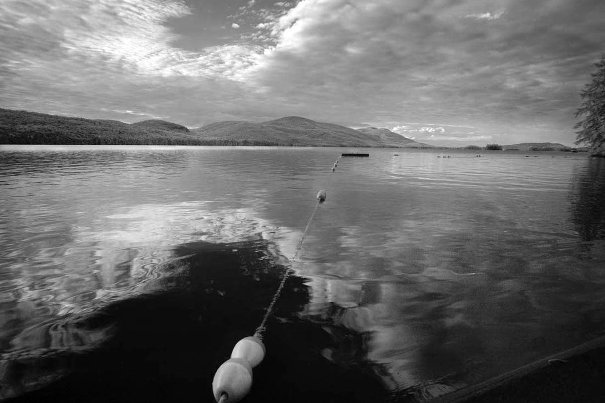 Walking on Water  2016