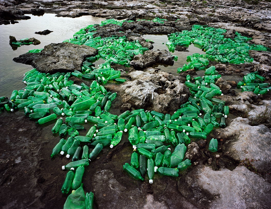 Algas (Algae)  2013 by Alejandro Durán (b. 1974)