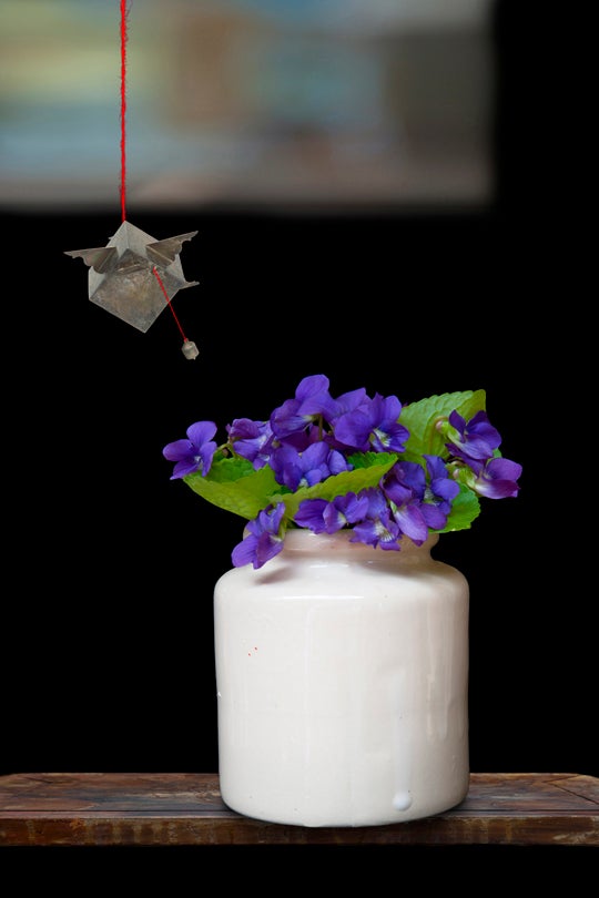 Violets  2010 Olivia Parker (b. 1941)