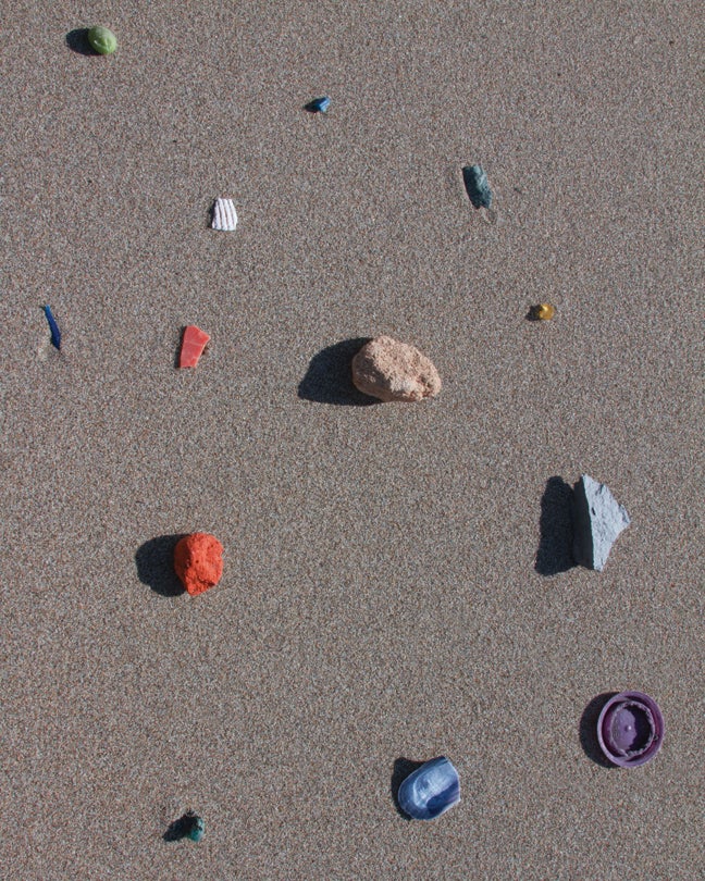 Beach Composition  2013  Lindsey White (b. 1980)  digital print  Courtesy of the artist  R2014.1901.009