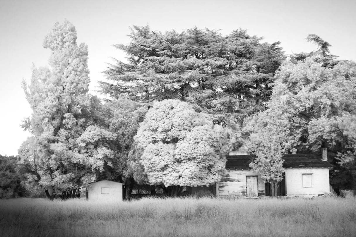 The Hidden Ranch  2015