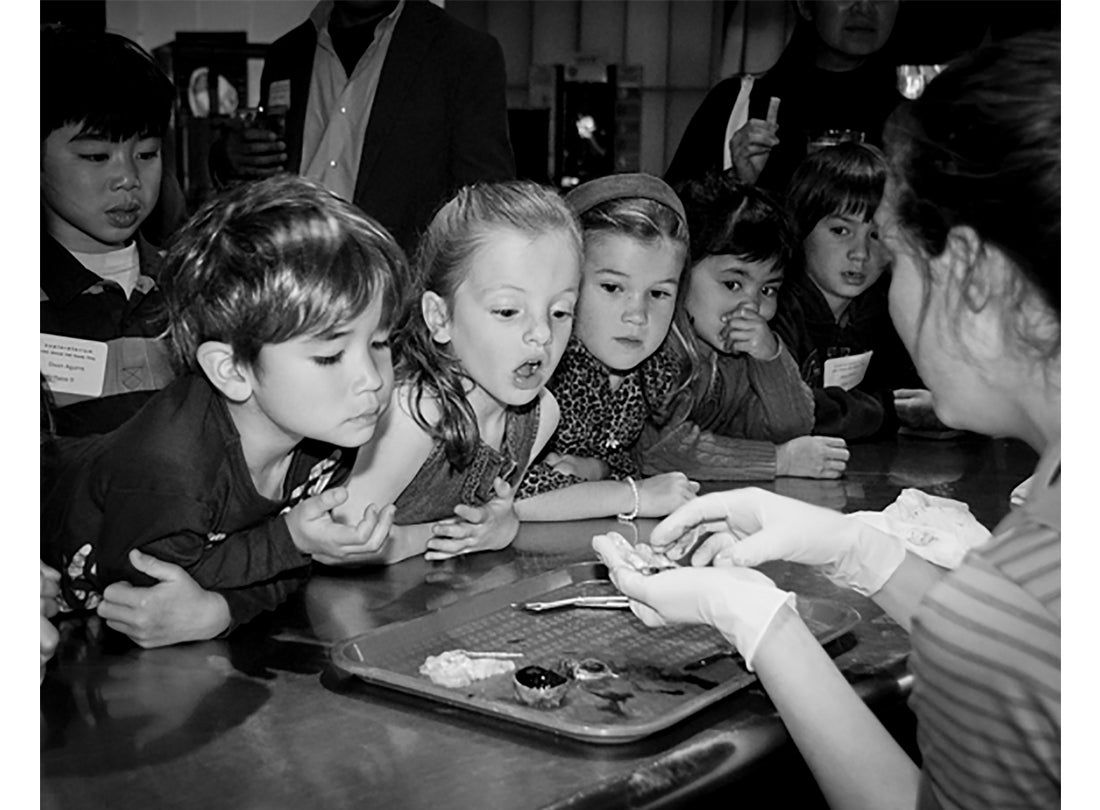 Cow Eye Dissection  2008