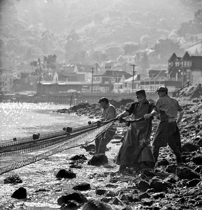 Fishermen, Herring Run, Sausalito