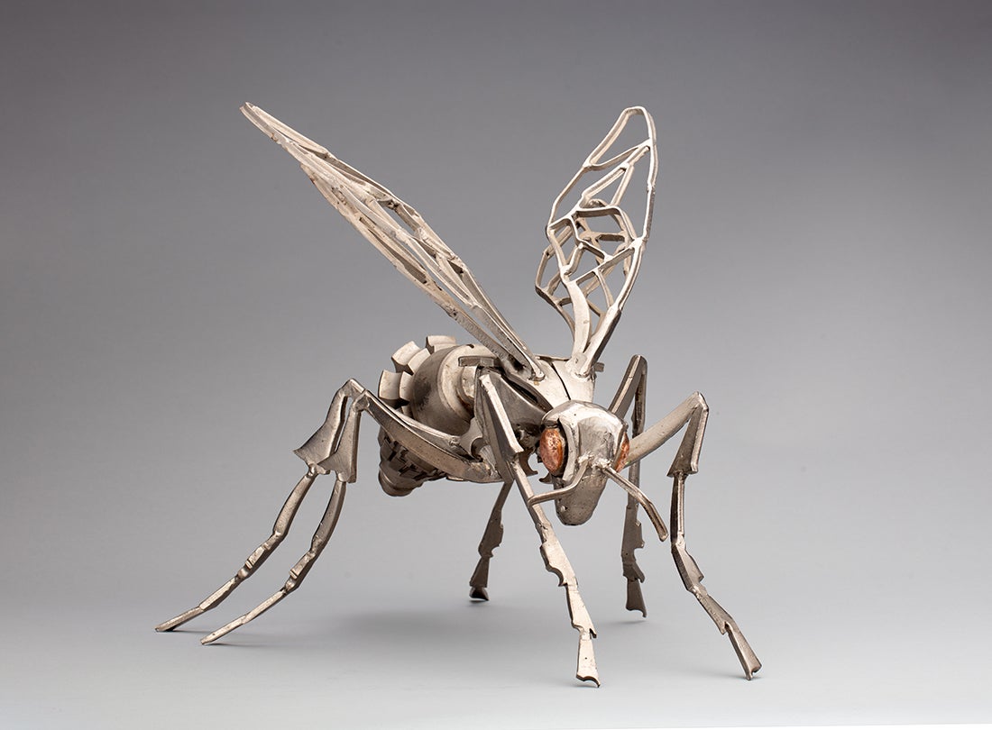 3d model of a microscopic insect-like creature