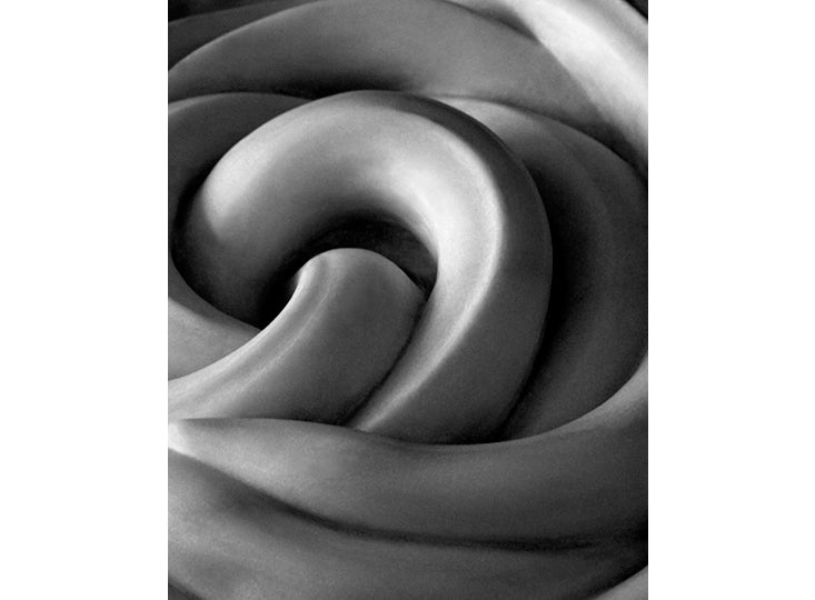 Marilynne Morshead: Pattern Alchemy