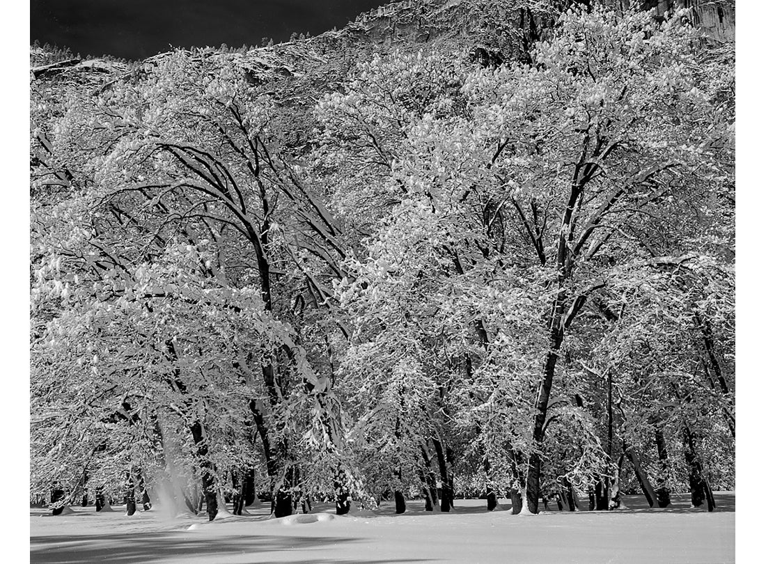 Yosemite Snow Drop, Yosemite National Park, California