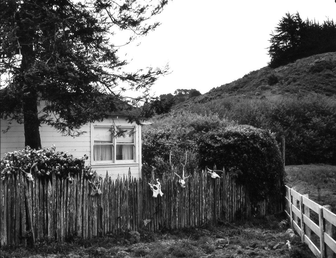 Annie’s Picket Fence, Point Reyes, California  2006  Art Rogers (b. 1948) gelatin-silver print Courtesy of the artist L2014.2101.010