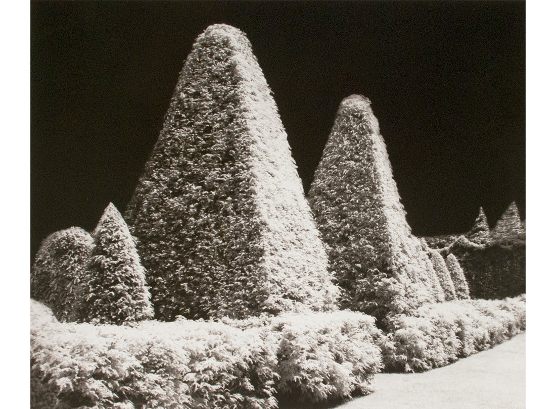 Hope Kahn: Geometry In Nature