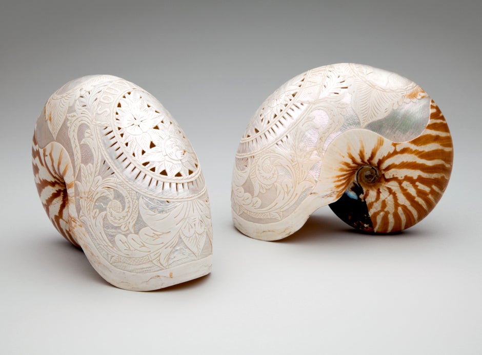 Carved nautilus shells 