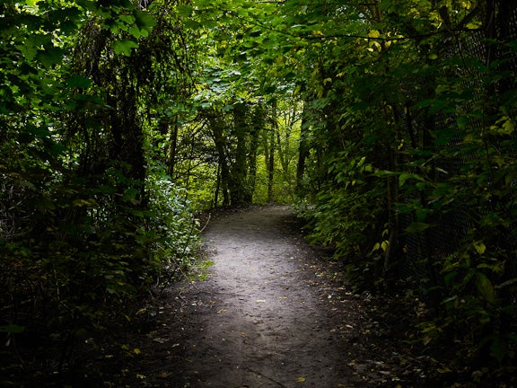 Teufelsberg, Berlin 2009
