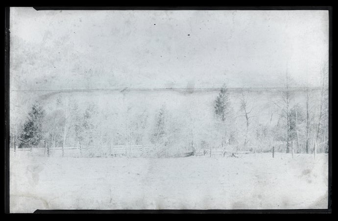 Castle Crags #449, California  2010