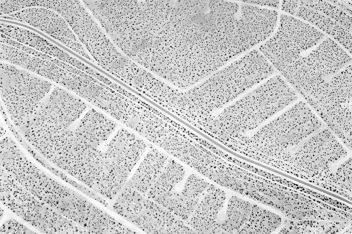 Parkway (California City, California)  2017