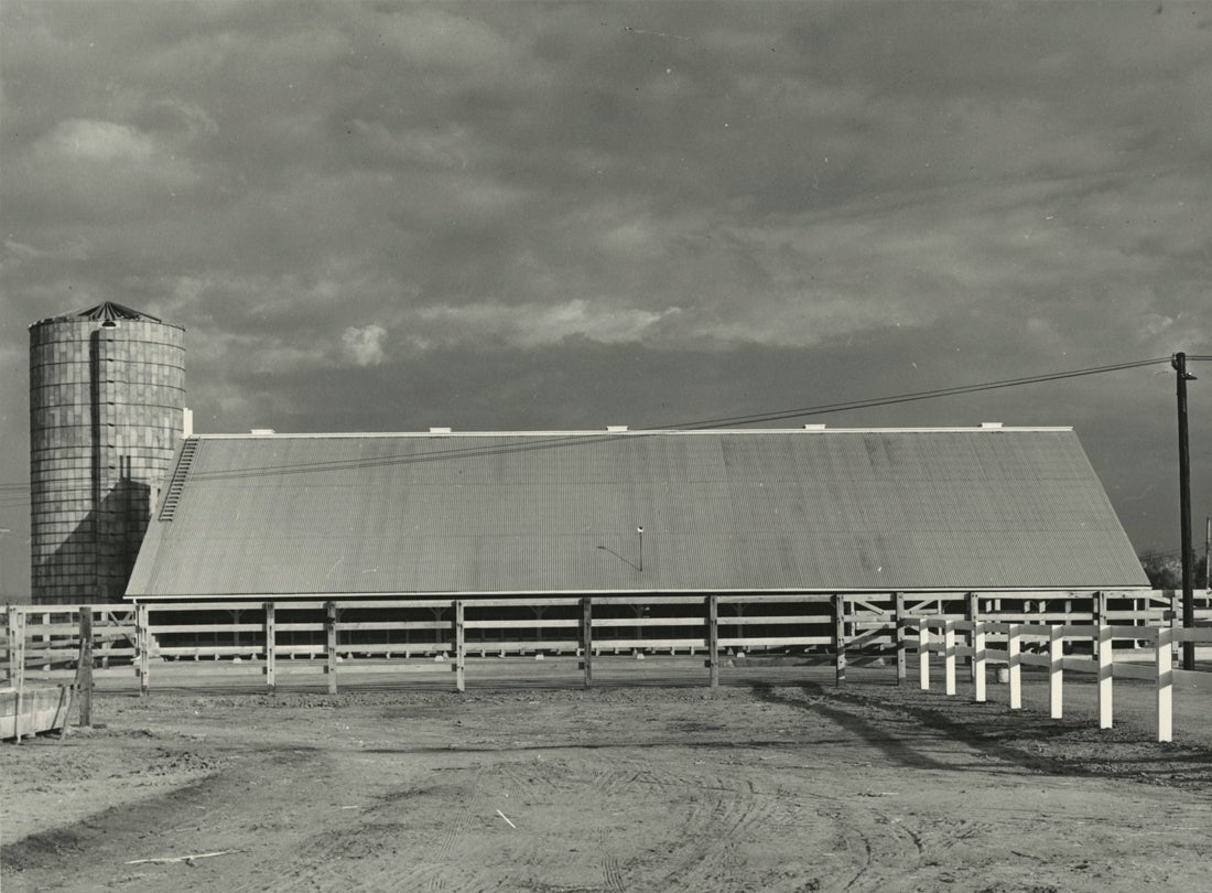 Russell Lee: The Honest Camera