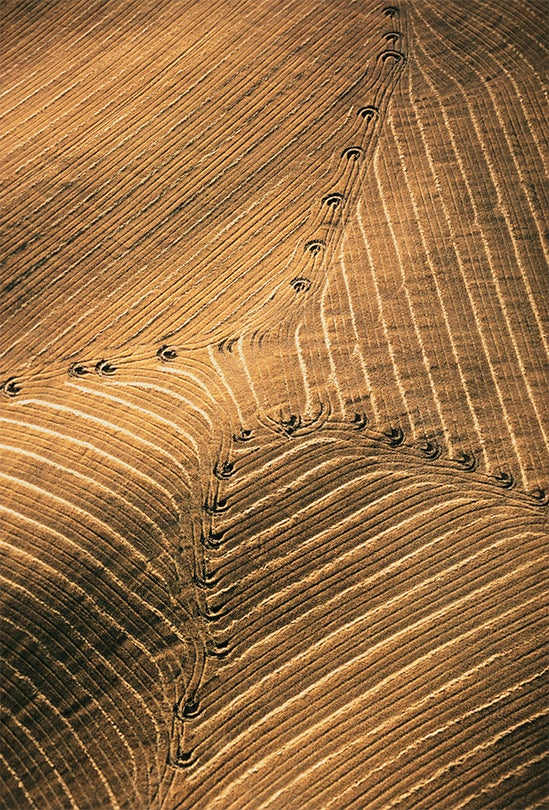 After Combine Harvest, Montezuma Hills, California  1964