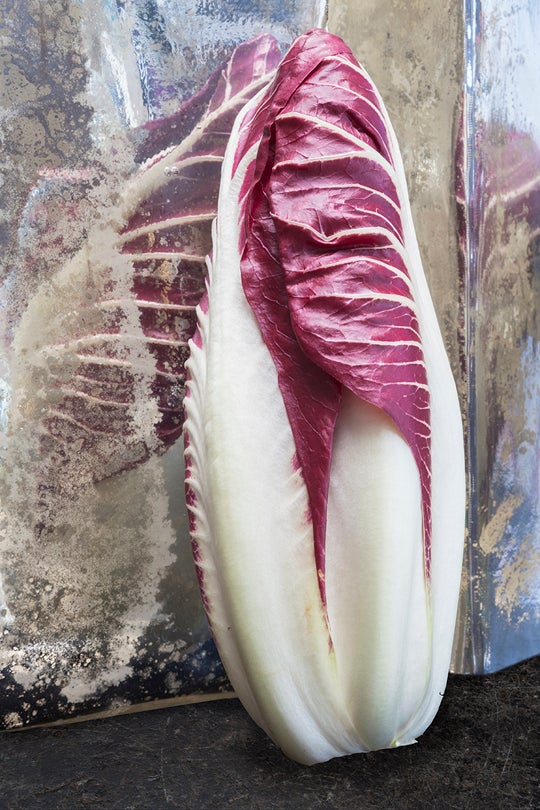 Over Other  2014 Olivia Parker (b. 1941)