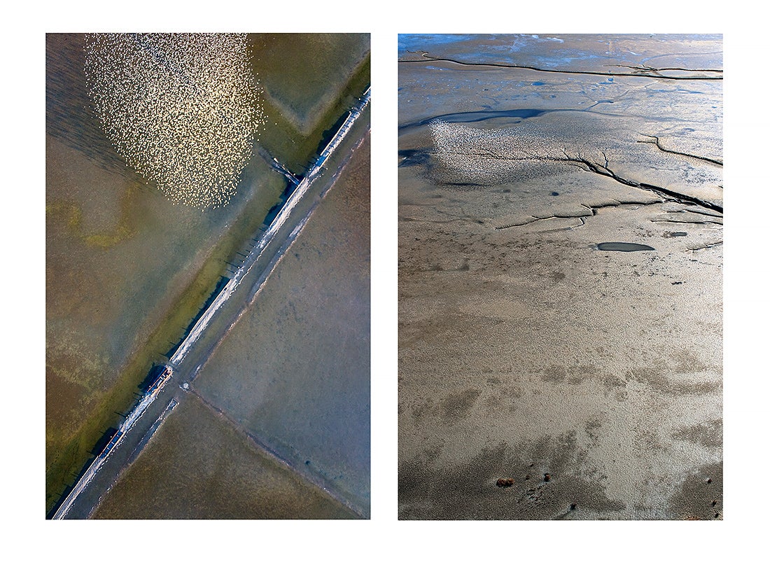 Swarms, Salt Ponds E13, Mt. Eden Creek Mudflat, Hayward, California  