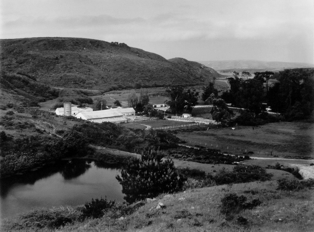 Ranch View with Baby Bishop Pine, Murphy Ranch, Point Reyes, California  2006 Art Rogers (b. 1948) gelatin-silver print Courtesy of the artist L2014.2101.011