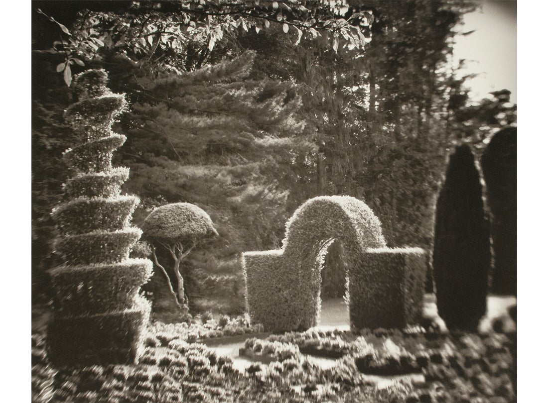 Hope Kahn: Geometry In Nature