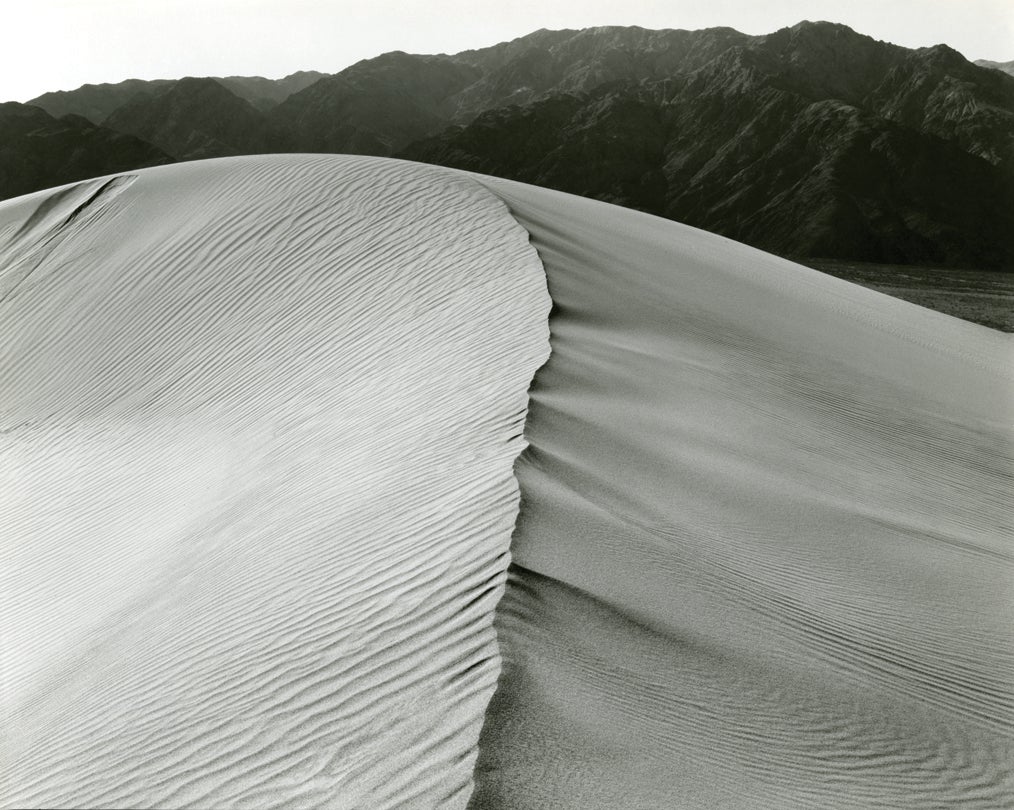 Dune, Marin County, California  