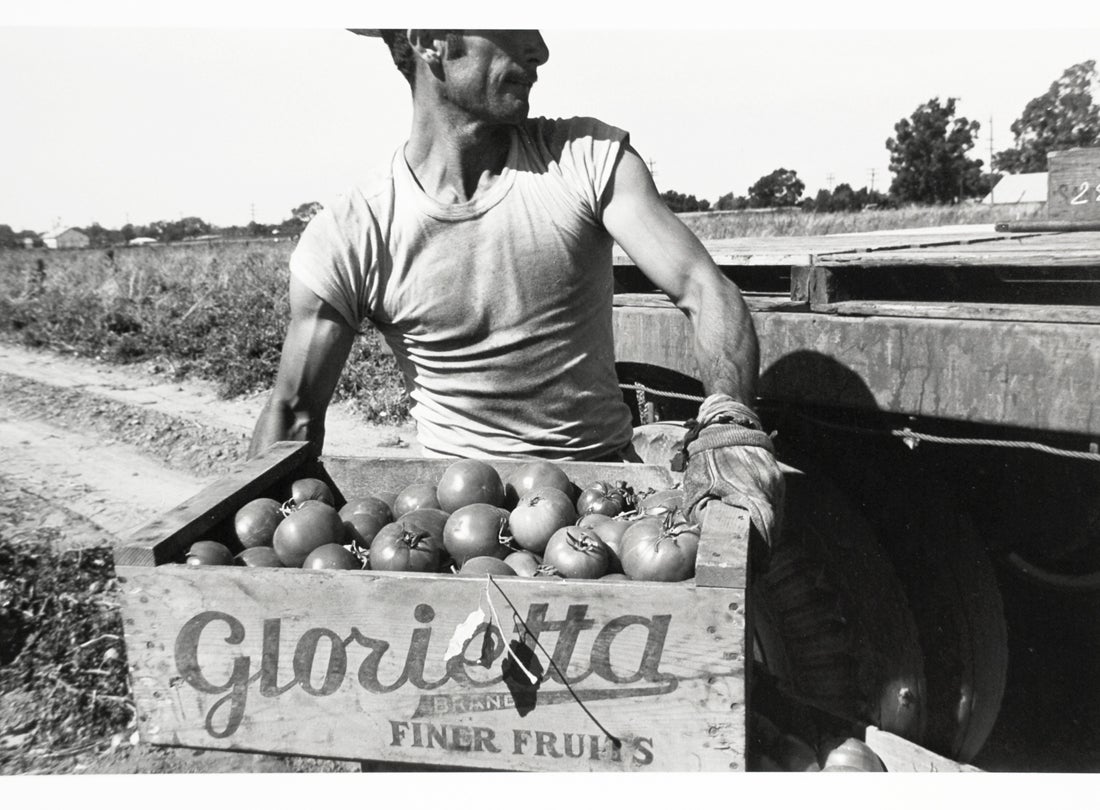 Walnut Grove: Portrait of a Town, Walnut Grove, California  1961 
