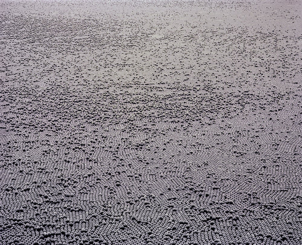 Ivanhoe Reservoir, Los Angeles, California  2015