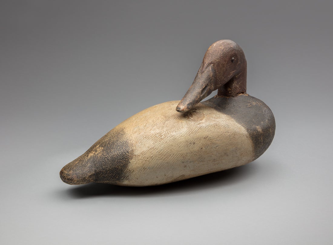 Canvasback drake decoy (preener)  early 1900s