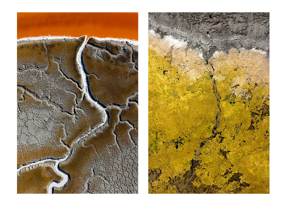 Verge, Salt Ponds P5, E12, Menlo Park and Hayward, California