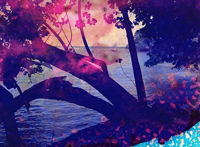 Headwaters No. 5  2017