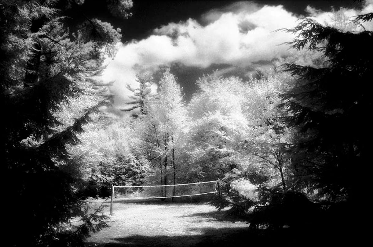 Antonioni’s Dream  1996