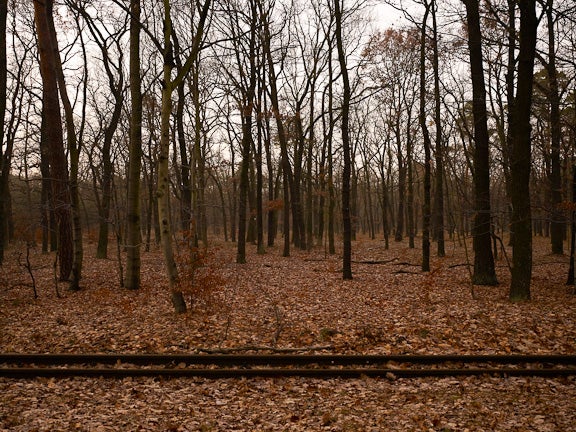 Rixdorfer Höhe, Berlin 2008