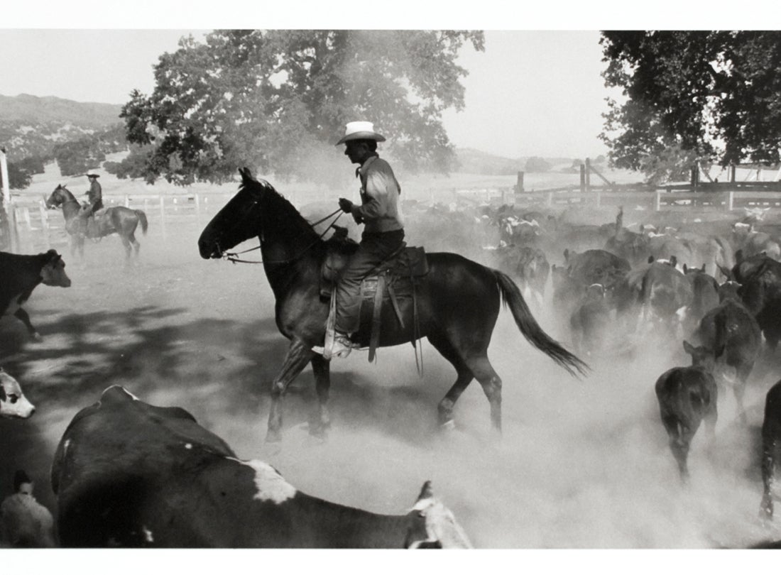 Buck Hannackle, Berryessa Valley, California  1956