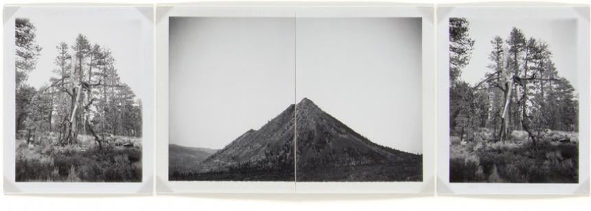 Glass Mountains; Sean McFarland (b.1976); photographic collage on board.