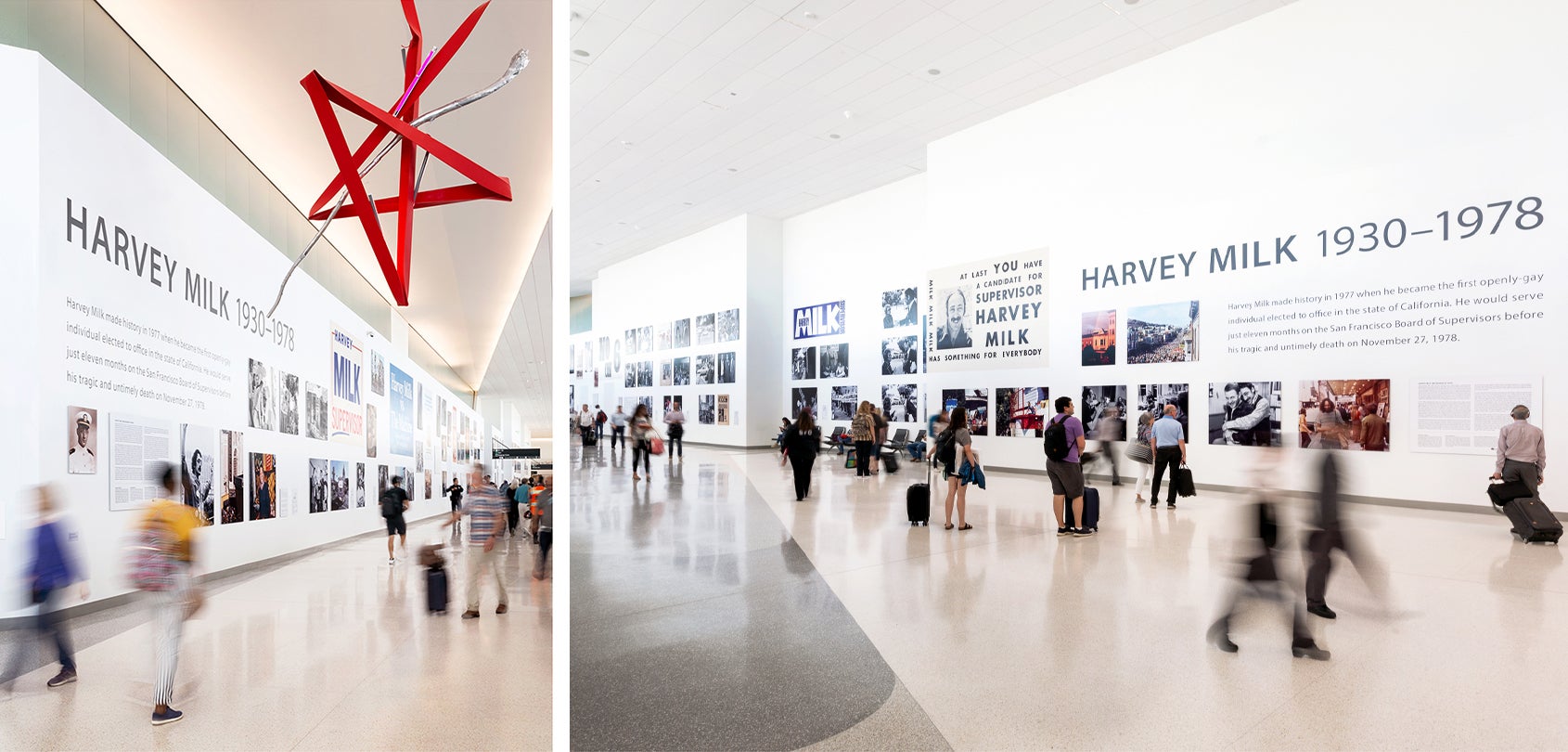 Harvey Milk: Messenger of Hope | The Evolution of an Exhibition