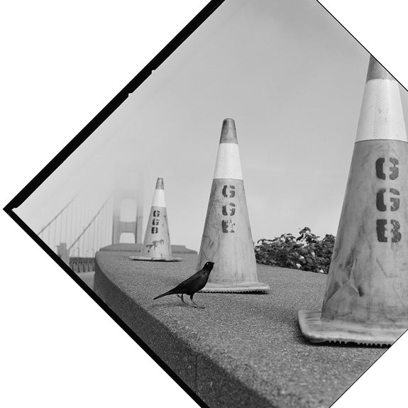 Small Bird at Golden Gate Bridge, San Francisco  2018. Arthur Tress (b. 1940)