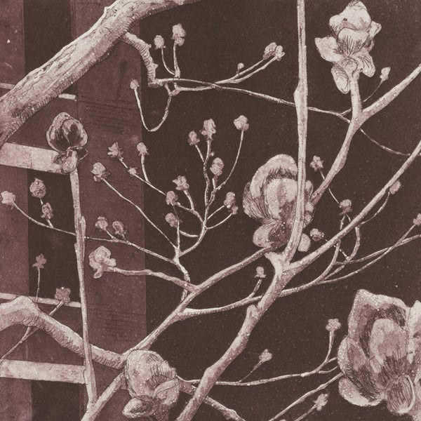 Shared Impressions: Printmaking from Laney College