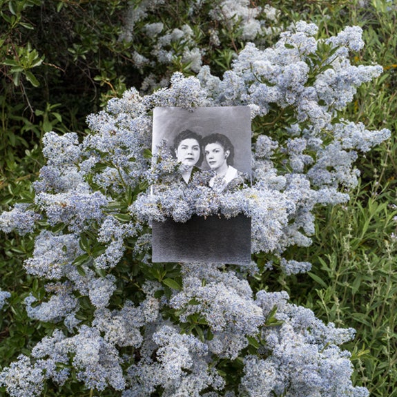Road to Alaxuluxen / Chumash Painted Cave State Historic Park (wild lilac) [detail]  2023