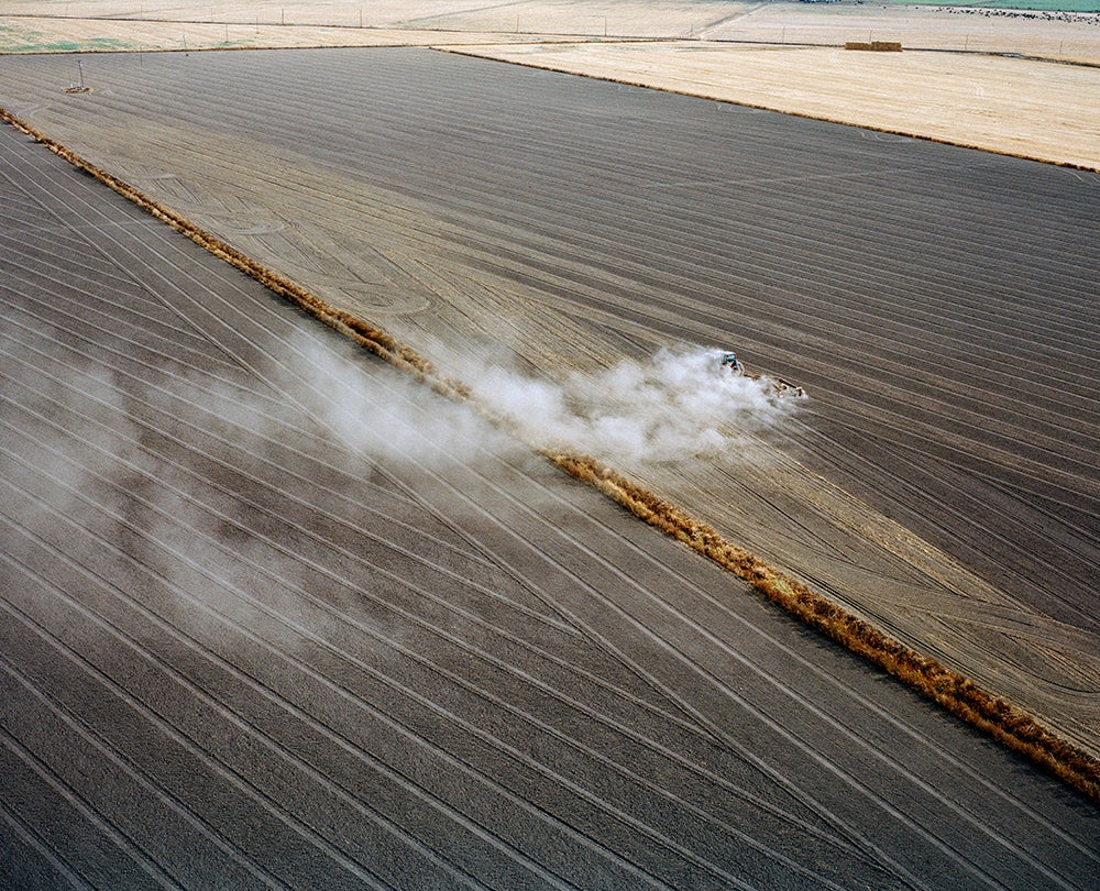 Agriculture fields near San Joaquin River, Central Valley, California  2015