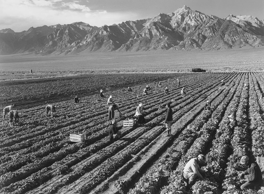 Farm workers with Mt. Williamson in background  1943
