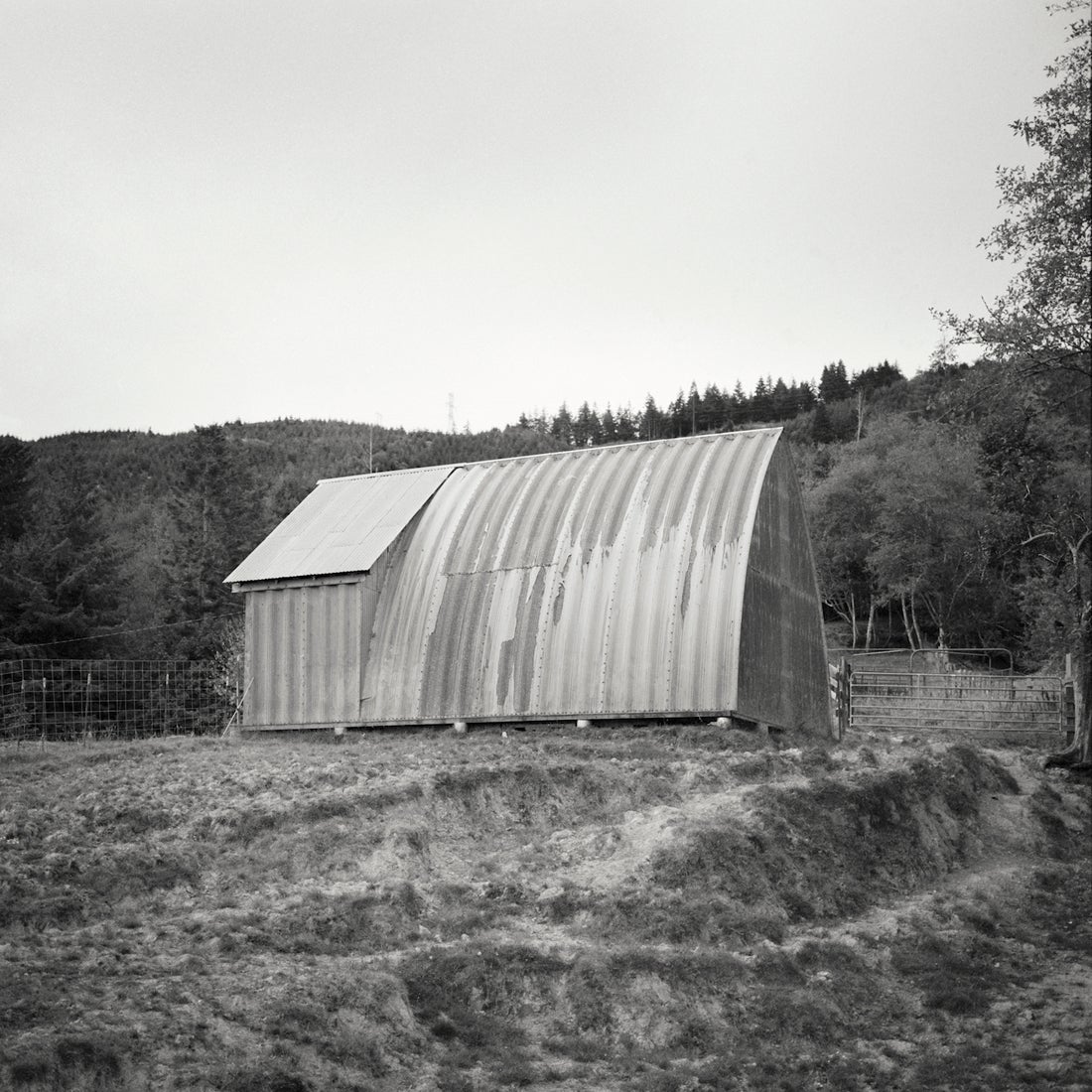 Garage in Field, Eugene, Oregon  2005/2013
