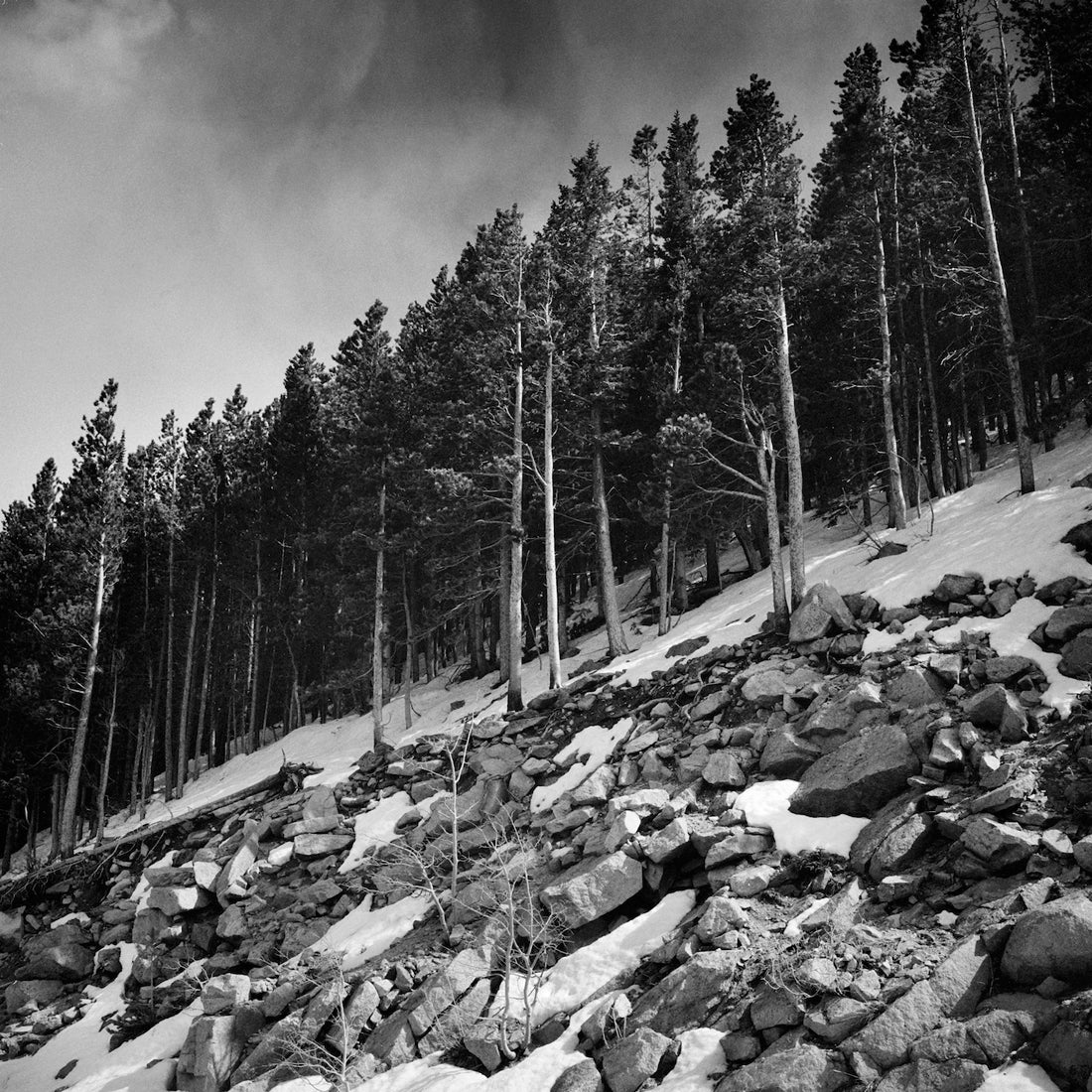 Pines Rock, Estes Park, Colorado  2002/2013