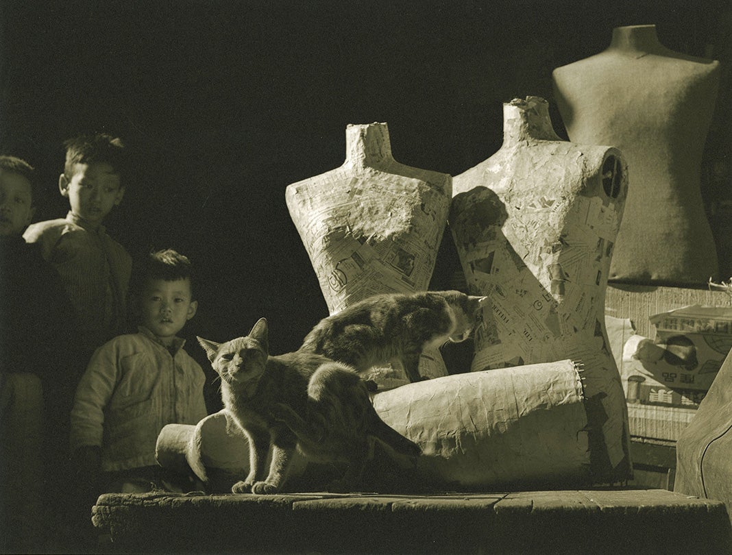 Kids and Cats  1961 Fan Ho (b. 1937) black-and-white photograph Courtesy of Modernbook Gallery, San Francisco L2014.1710.005