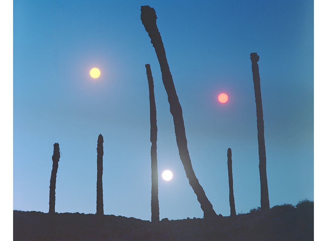 Luca Tombolini, LX XI #48  2018